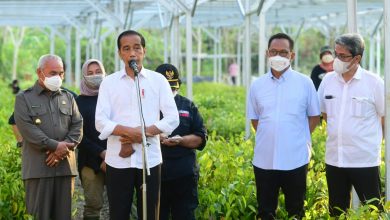 Photo of Tinjau Persemaian Mentawir, Presiden Katakan Pembangunan IKN Diawali dengan Rehabilitasi Lahan