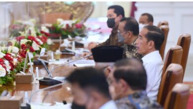 Photo of Presiden Jokowi: Terus Jaga Neraca Produktivitas Pangan